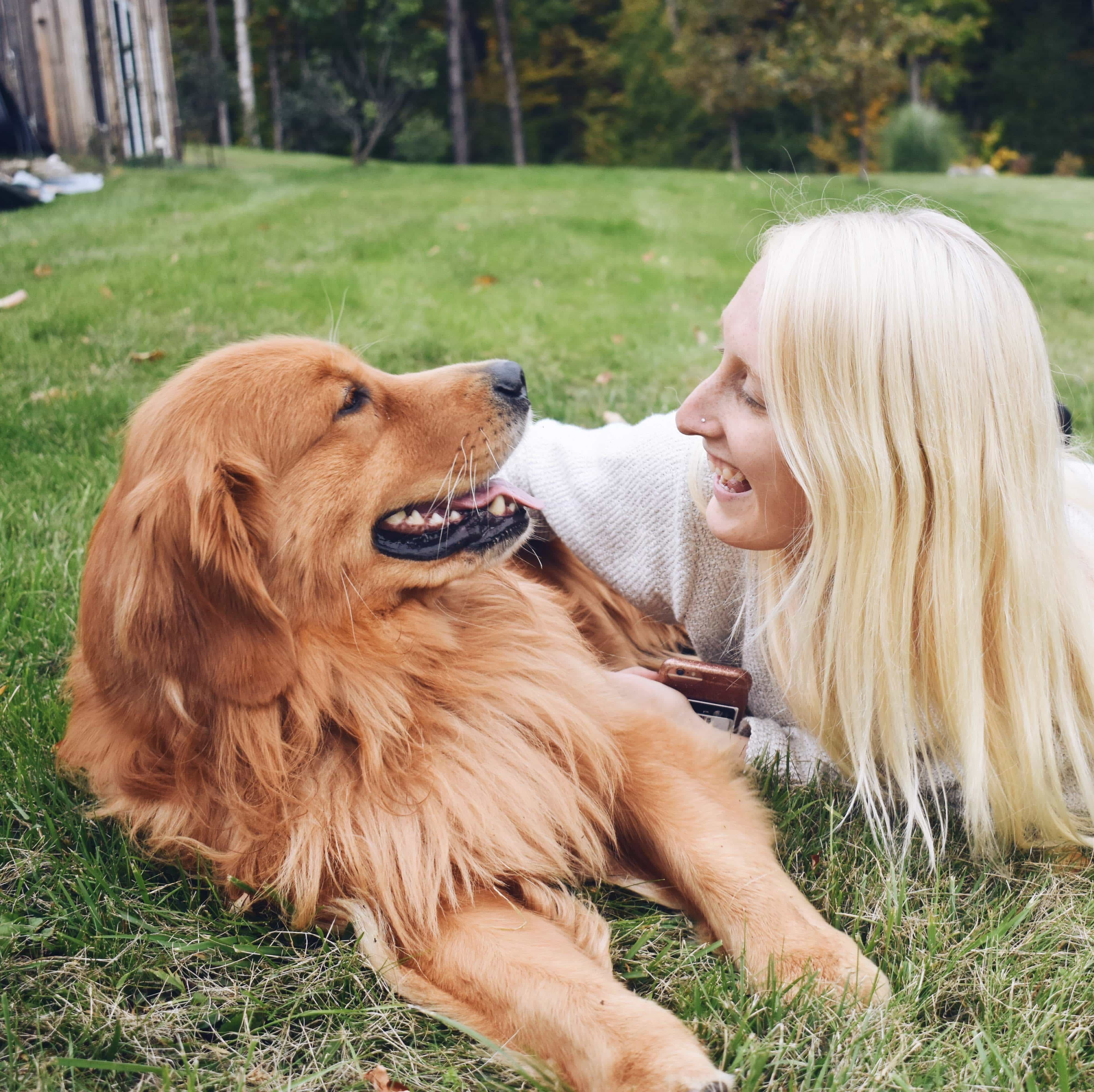 sarah-dwyer-dog