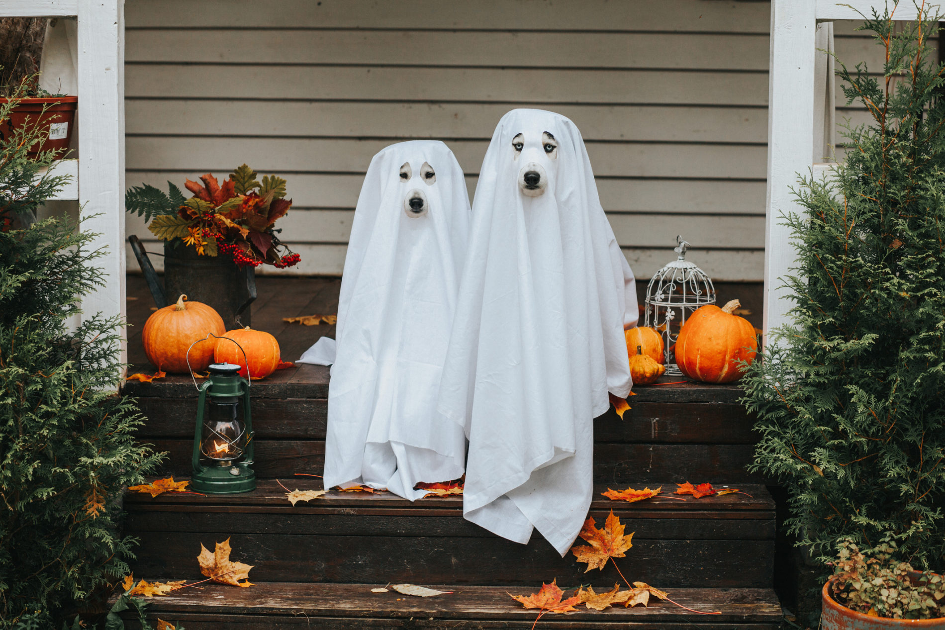 Eating Disorder Recovery Tips for Halloween Walden Eating Disorders