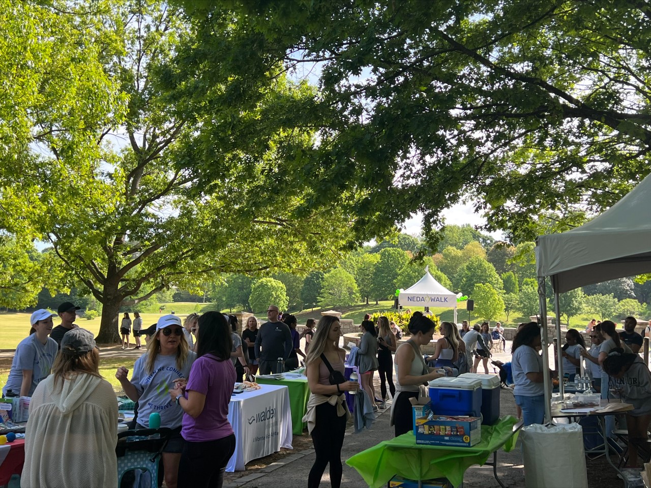 NEDA Walk Atlanta